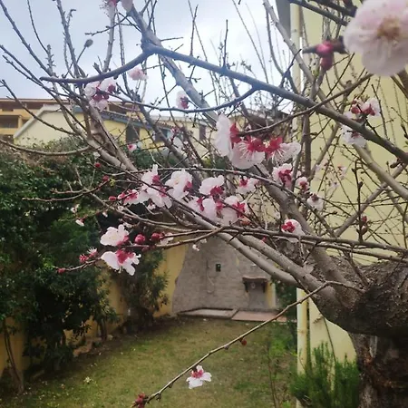 Il Borgo Del Sole * ヴィッラシミーウス